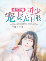 ʢ������ ��˾�ٳ���������