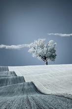 ���콾���ļ�