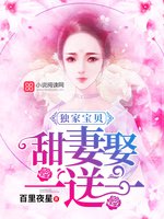独家宝贝:甜妻娶一送一
