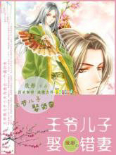 王爷儿子娶错凄
