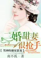 男神的独家恩宠:二婚甜妻很抢手