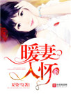 暖妻入怀(重生)