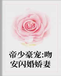 帝少豪宠:吻安闪婚娇妻