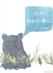 ����,���Ƽ�Ҫ�� ���+����