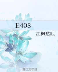 E408