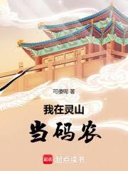 我在灵山当码农