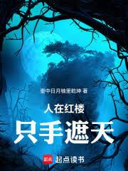 人在红楼,只手遮天