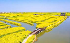 港娱,香江我最帅