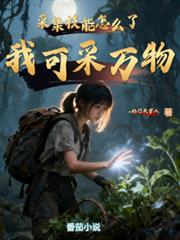 �񼯼�����ô�ˣ��ҿɲ�����