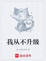 我从不升级