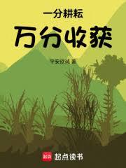 一分耕耘,万分收获!