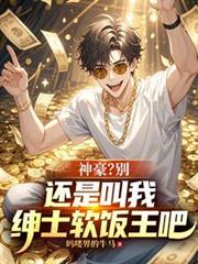 神豪?別,还是叫我绅士软饭王吧