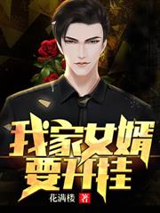 我家女婿要开挂