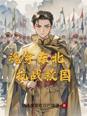 魂穿东北,抗战救国