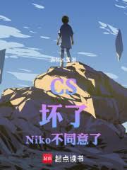 CS:坏了,Niko不同意了!