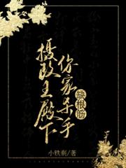 摄政王殿下,你家杀手缺根筋!