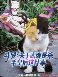 斗罗:关于武魂是杀手皇后这件事