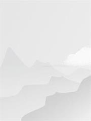 班级求生:海岛上我生生不息