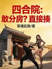 四合院:敢分房?直接揍